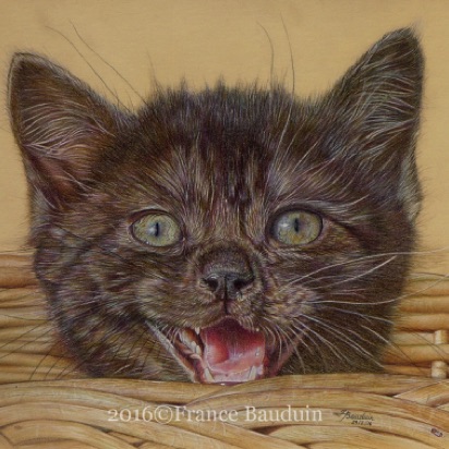 Austin - 44 hours
Sand Pastelmat
11.5" x 14.5"
From Laila's 4th litter - 2013 Austin - 44 hours
Sand Pastelmat
11.5" x 14.5"
From Laila's 4th litter - 2013